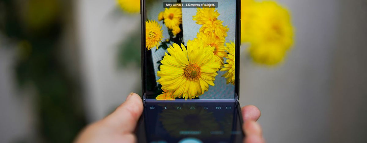A smartphone capturing vivid yellow flowers, showcasing technology and nature interaction.